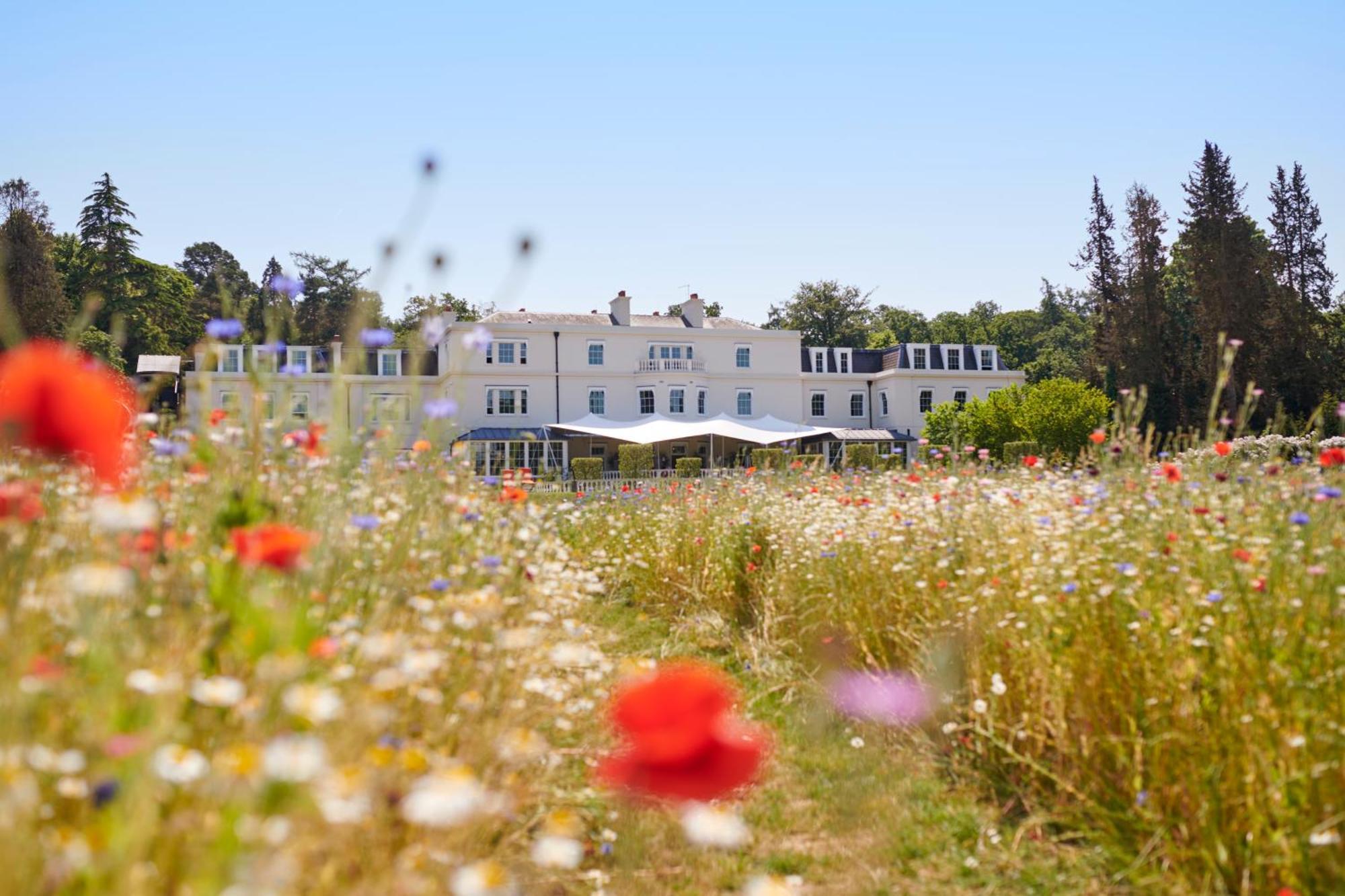 Coworth Park - Dorchester Collection Ascot  Exterior foto